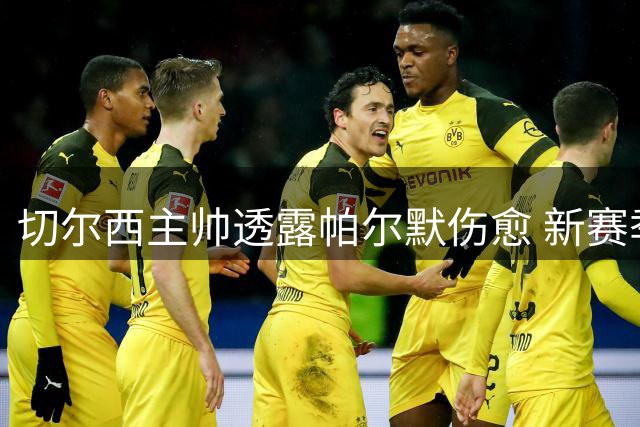 切尔西主帅透露帕尔默伤愈 新赛季有望重振雄风