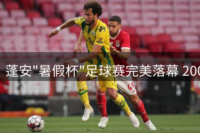 蓬安"暑假杯"足球赛完美落幕 200余名球员激情碰撞