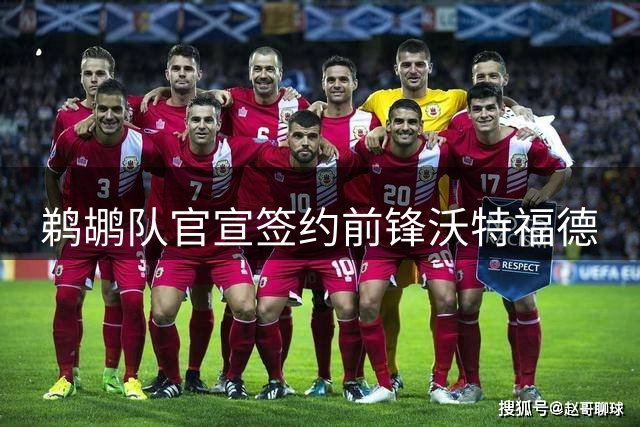 鹈鹕队官宣签约前锋沃特福德