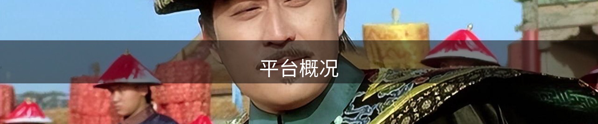 平台概况