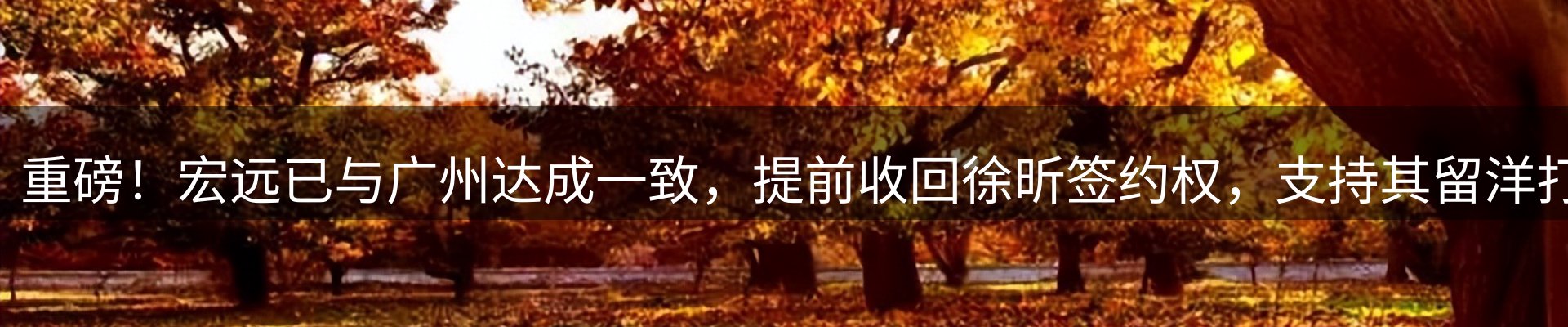 新闻导览