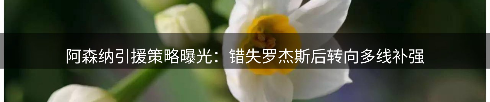 行业资讯